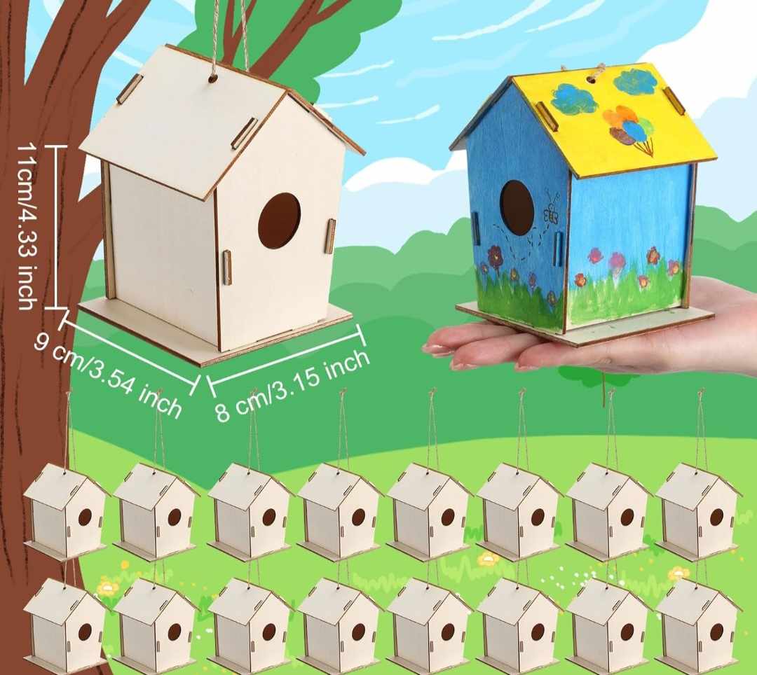 Wooden Bird House Activity Kit