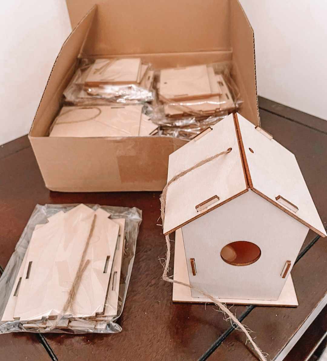Wooden Bird House Activity Kit